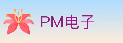 PM电子 logo